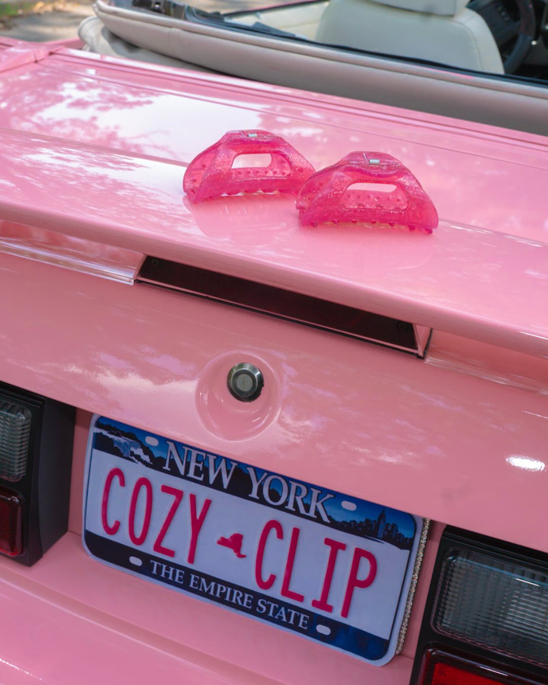 Pixie Dust Cozy Clip