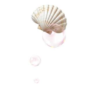 Seashell and bubble decorative element